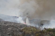 Nueve medios aéreos han intervenido en el incendio. // CharryTV