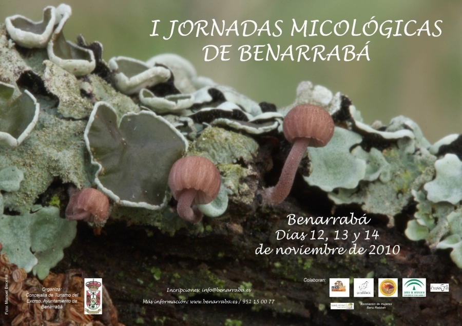 I Jornadas Micológicas de Benarrabá.