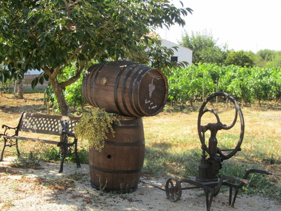 El curso busca capacitar a los alumnos en los ámbitos de la viticultura, vinicultura y el turismo asociado.