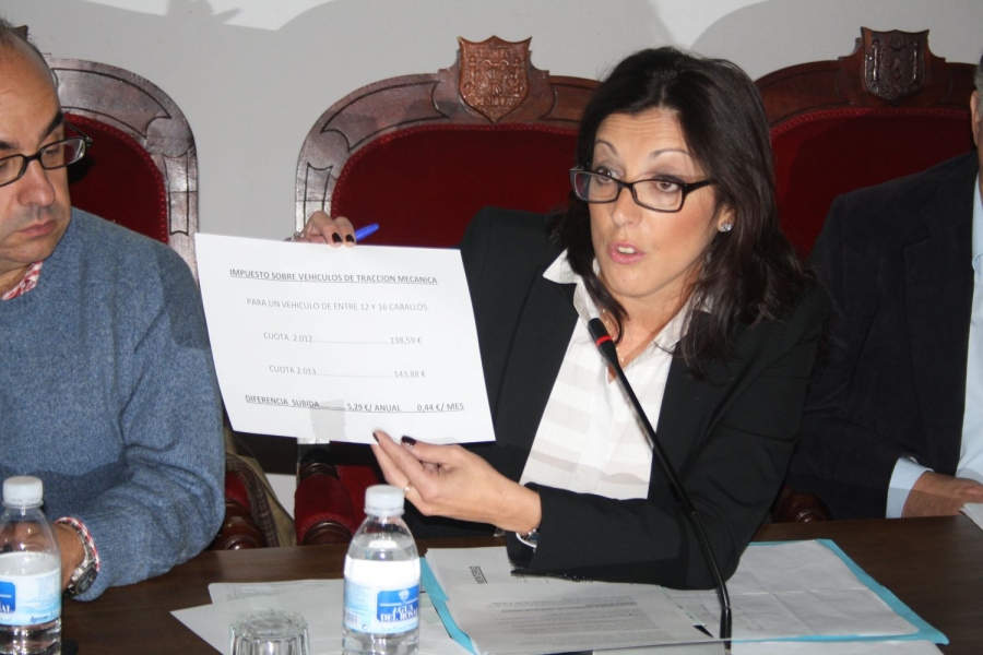 La delegada de Economía y Hacienda, María del Carmen Martínez, durante su intervención en el Pleno celebrado esta mañana.