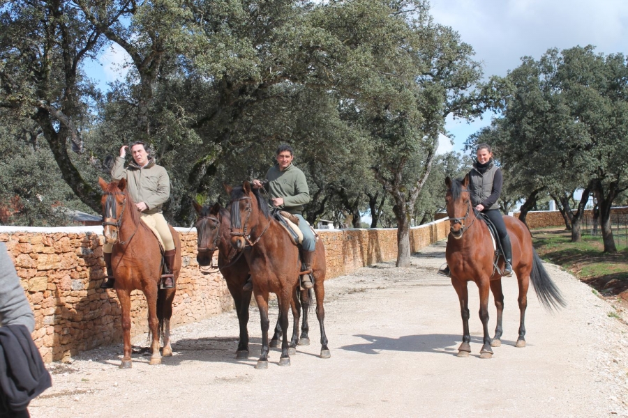 Los visitantes puedan conocer el centro de interpretación del toro de lidia y del caballo andaluz.