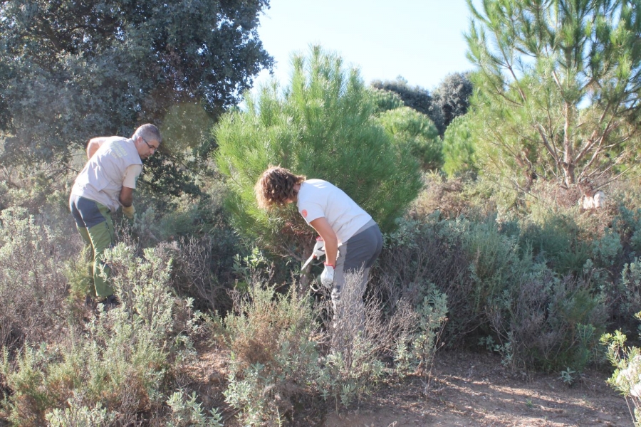 El parque se encuentra catalogado dentro de la RENPA (Red de Espacios Naturales Protegidos de Andalucía).