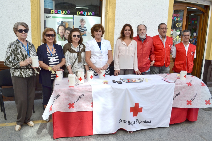 Alrededor de 40 voluntarios están colaborando con la campaña.