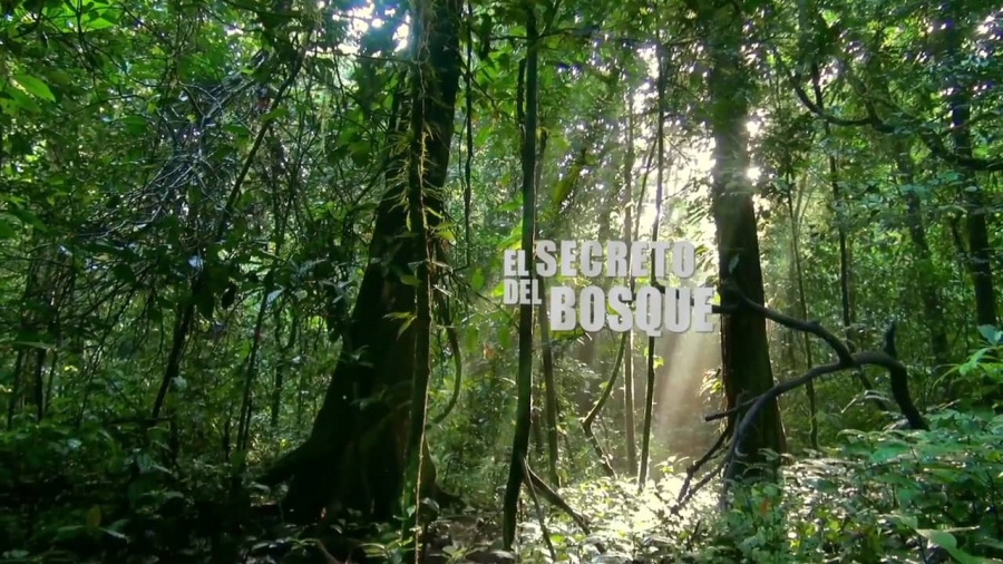 La obra está inspirada en un cuento africano.