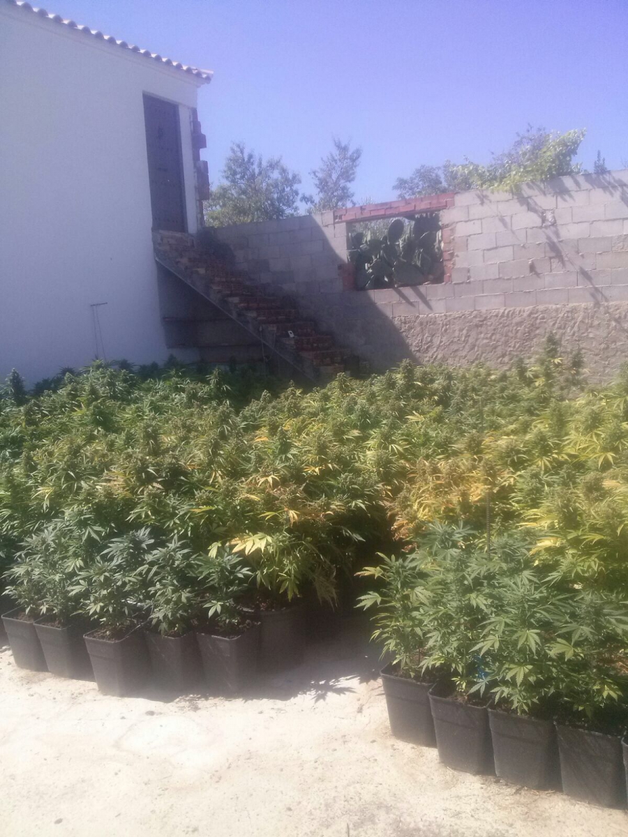 Se trata de una parcela en el carril de Nador, concretamente en el partido de Espejo Haza de Laura.