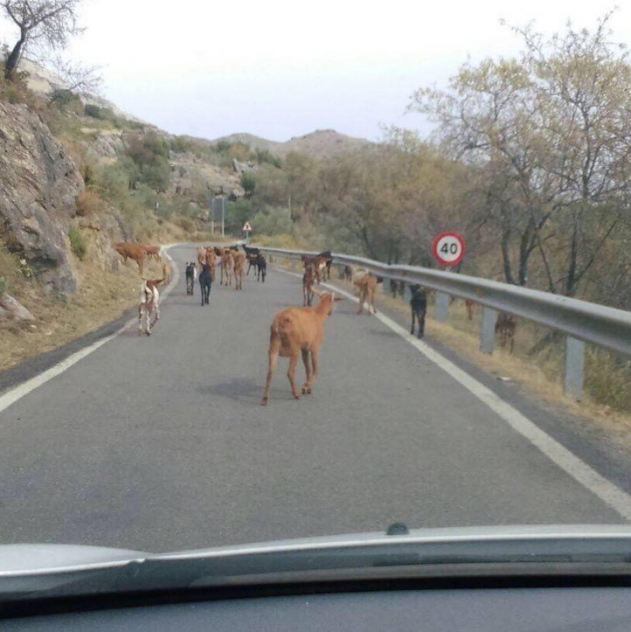 Imagen de una de las carreteras de la Serranía