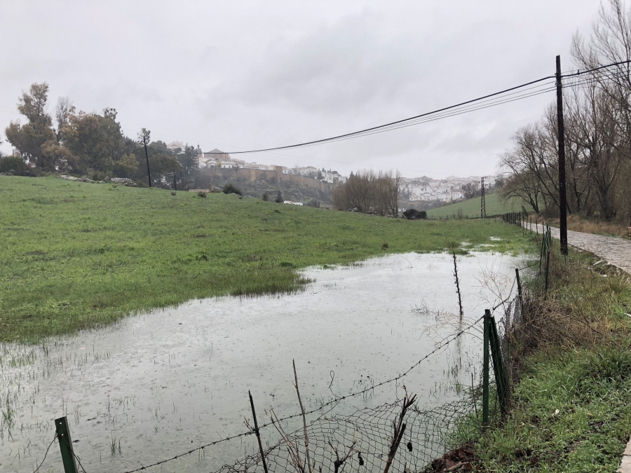 La ciudad presentaba hoy numerosas zonas anegadas