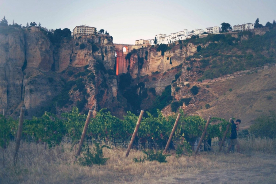 El evento se desarrollará en el viñedo Samsara, ubicado en el Valle de los Molinos en la ladera de El Tajo
