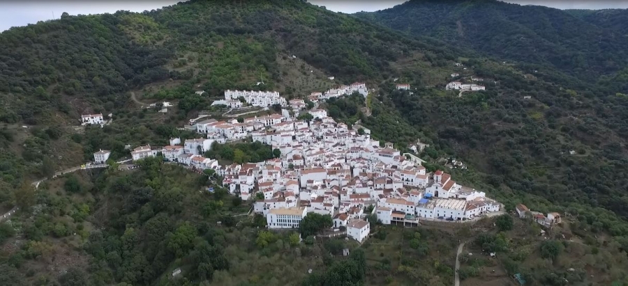 Cada dos años, desde hace 25 años, una decena de artistas nacionales e internacionales exponen sus proyectos en Genalguacil, por lo que recibe el nombre de "pueblo museo".