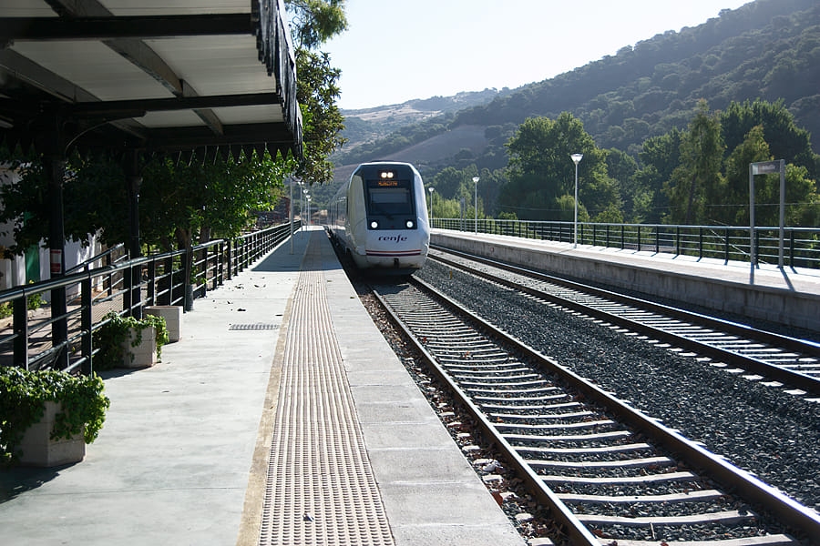La Plataforma subraya el impacto que unas deficientes comunicaciones por ferrocarril genera en la despoblación de la comarca.