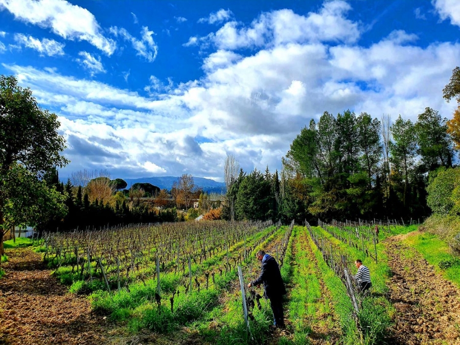 La bodega nació en 2016 y su vino Moscatel ha sido reconocido en dos ocasiones por este concurso internacional.