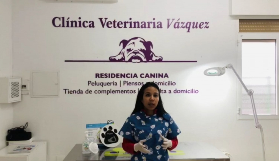 La doctora Vázquez explica las diferencias entre el tipo de coronavirus que afecta a los perros y a las personas.