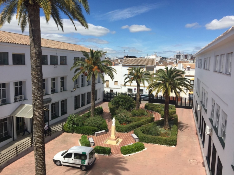 Los profesionales podrán acceder a un circuito de atención telefónica habilitado por Salud Mental.