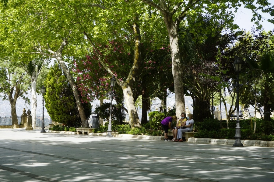 El paciente fallecido presentaba patologías crónicas, distintas al COVID-19, que le causaron la muerte.