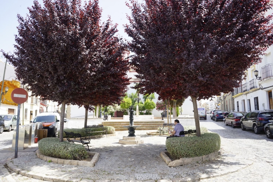 La pandemia ha provocado una reducción considerable del número de turistas que recibe Ronda habitualmente.