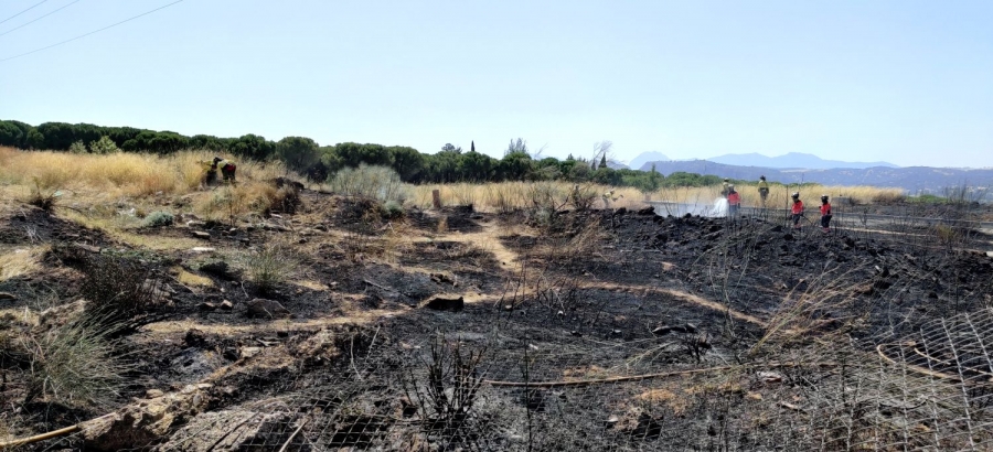 El incendio se ha iniciado pasadas las tres de la tarde