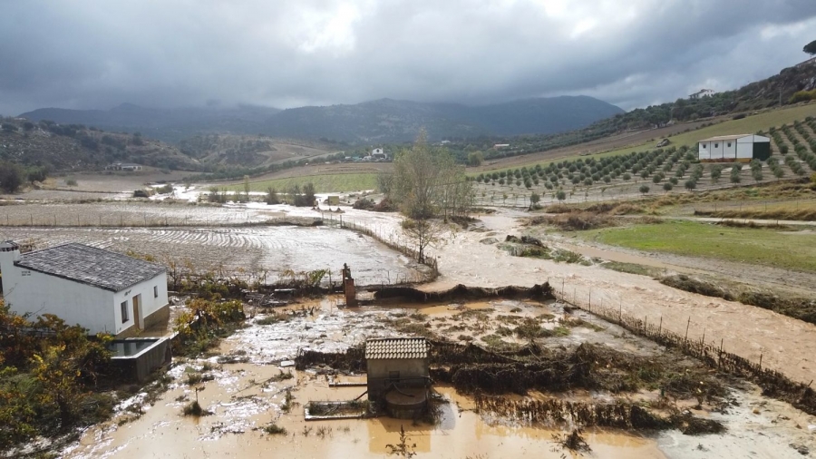 La precipitación acumulada de las últimas 24 horas en Ronda es de 83,9 litros por metro cuadrado.