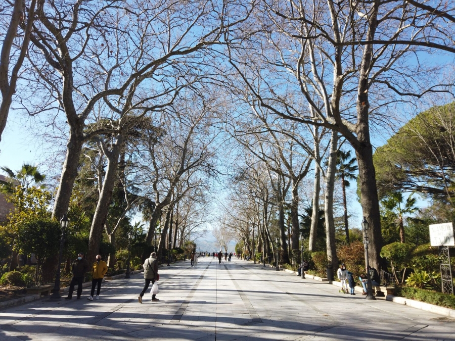 En las dos últimas semanas 166 vecinos de Ronda han dado positivo en COVID-19.
