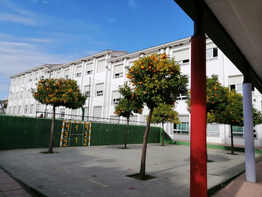 Los representantes de las AMPAS y el delegado de Educación mantuvieron un encuentro virtual para llegar a un acuerdo.