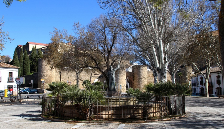 En los últimos 14 días 106 vecinos de Ronda han dado positivo en coronavirus.