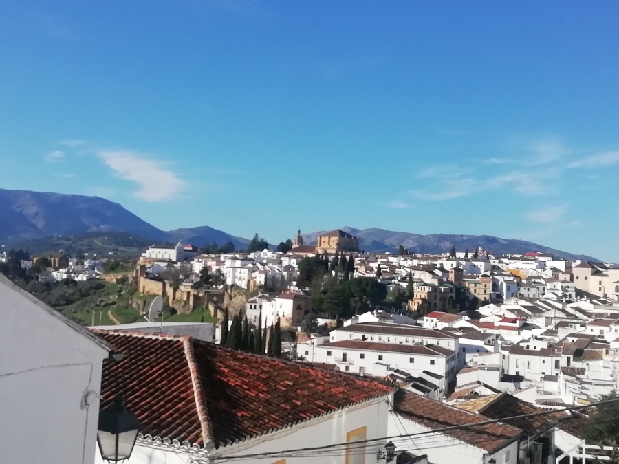 Un total de 11 vecinos de Ronda han dado positivo en coronavirus en la última semana.