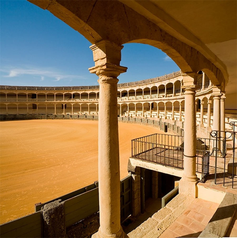 El proyecto reúne los trabajos de más de dos décadas, encaminados a la protección de un patrimonio singular, con especial atención tanto a los  inmuebles, a los bienes muebles asociados y también a un rico fondo documental.