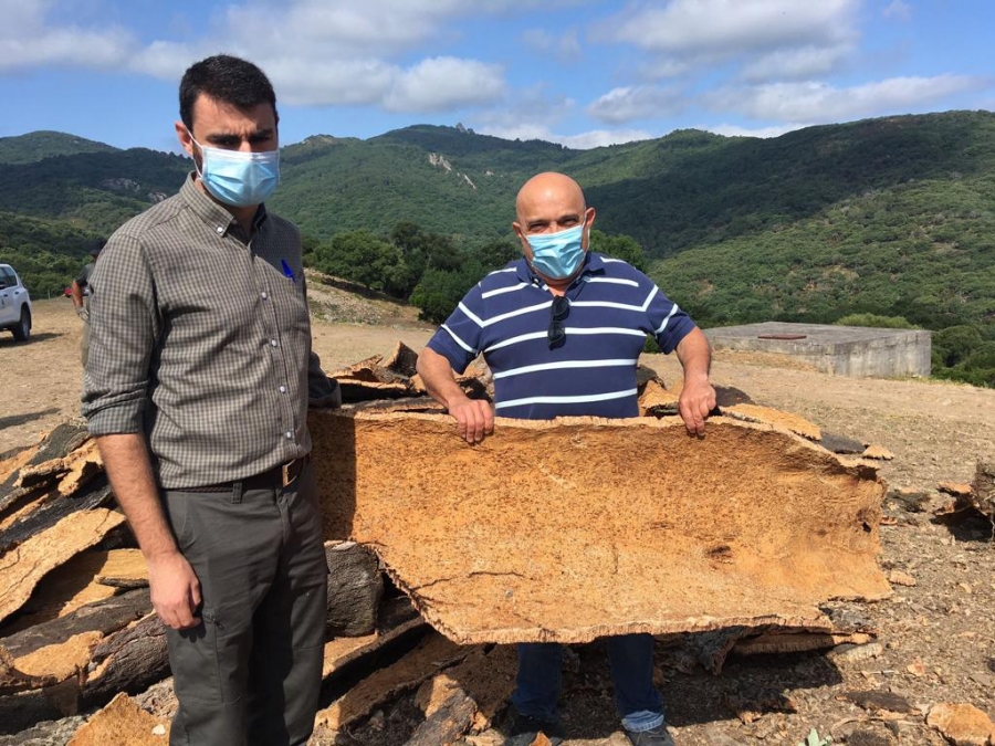 Vázquez ha puesto de relieve la labor de los técnicos de la delegación de Montes en el cuidado de un paraje de enorme riqueza medioambiental.