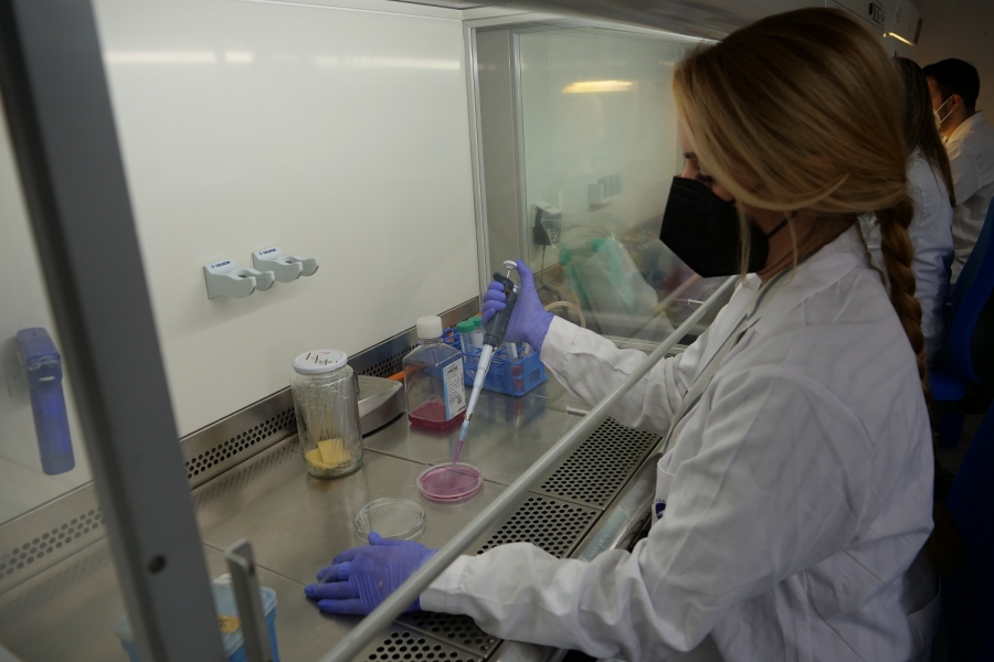 García Caballero tuvo la oportunidad de investigar el vínculo entre el COVID-19 y los vasos sanguíneos durante su estancia en Bélgica.