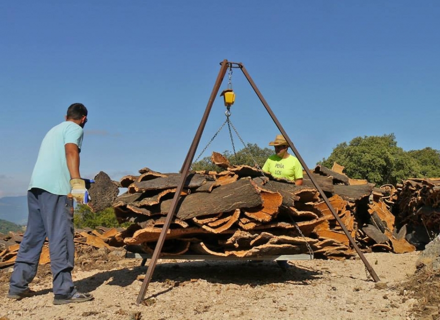 El ayuntamiento licitará todo el extraído en 2021 en tres lotes.