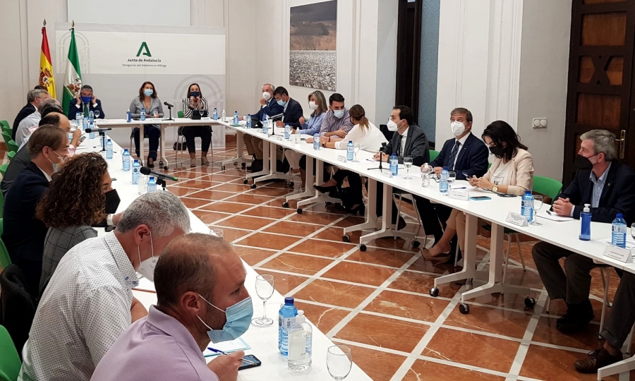 El anuncio ha tenido lugar esta mañana, en la Delegación del Gobierno de Málaga, donde Crespo ha presidido la constitución del foro de participación social y la del comité científico.