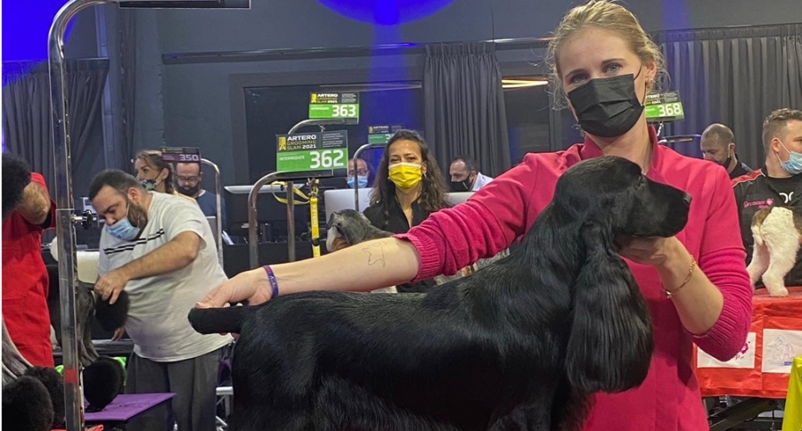 Fris compró a Nero de forma expresa para competir en encuentros como el Grooming Slam.