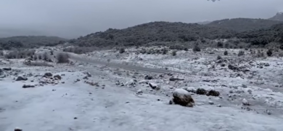 La nieve ha vuelto a cuajar este lunes en la carretera hacia San Pedro de Alcántara