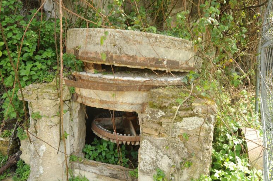 El yacimiento se encuentra en el término municipal de Cuevas del Becerro.