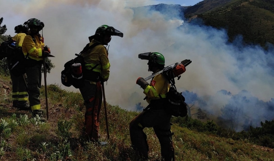 Los bomberos forestales han debido esquivar durante la noche desprendimiento de piedras.