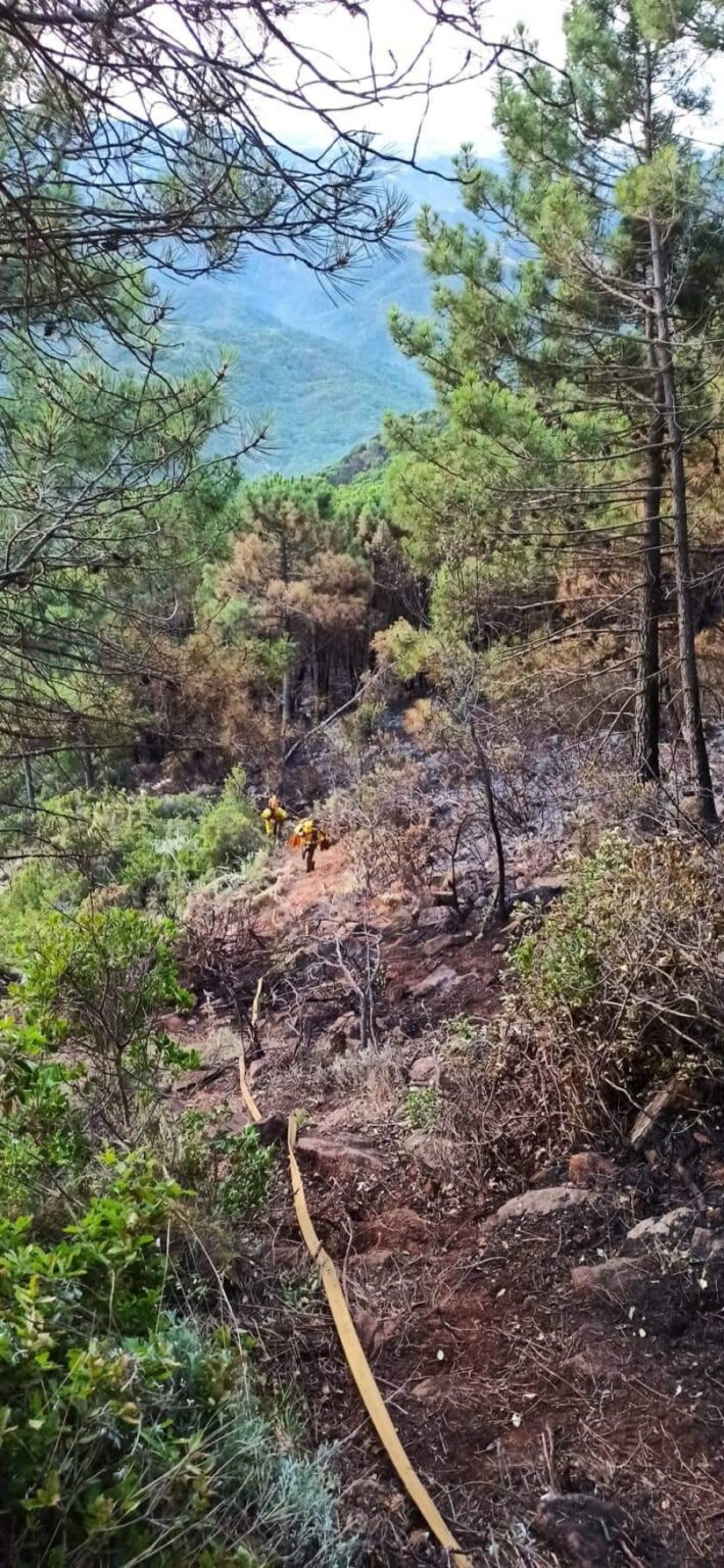 La vegetación densa y las frecuentes pendientes del terreno han dificultado las labores de control estos últimos días.