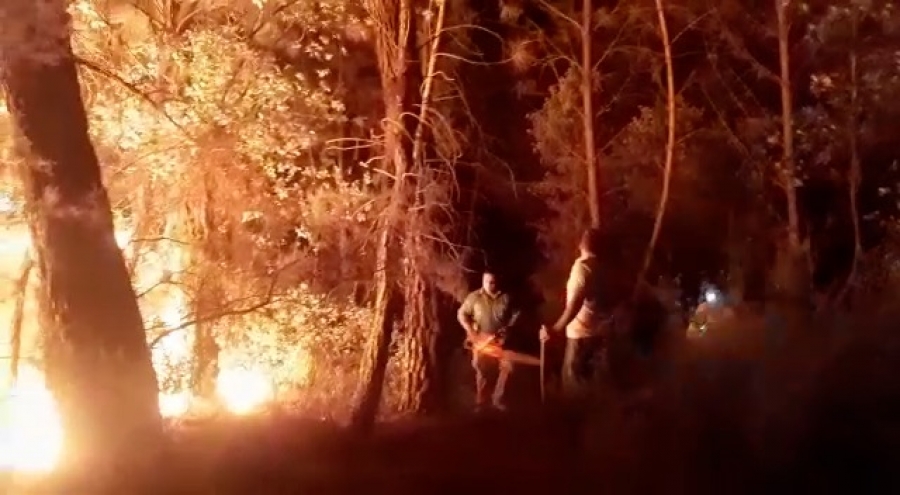 El fuego se produjo en un paraje cercano al río Genal, a alrededor de 3 kilómetros del casco urbano, a medianoche.