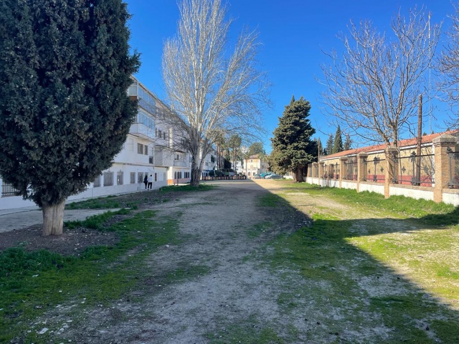 La zona.
