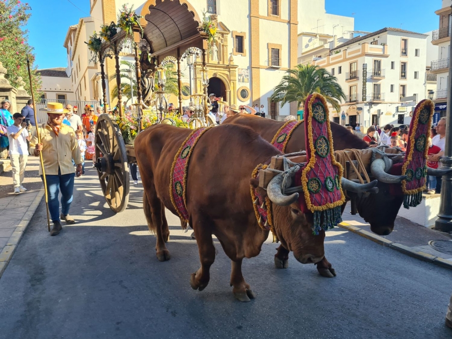 Salida desde la Iglesia de la Merced, en carreta tirada por bueyes de la Familia Cubiles, de Montecorto.