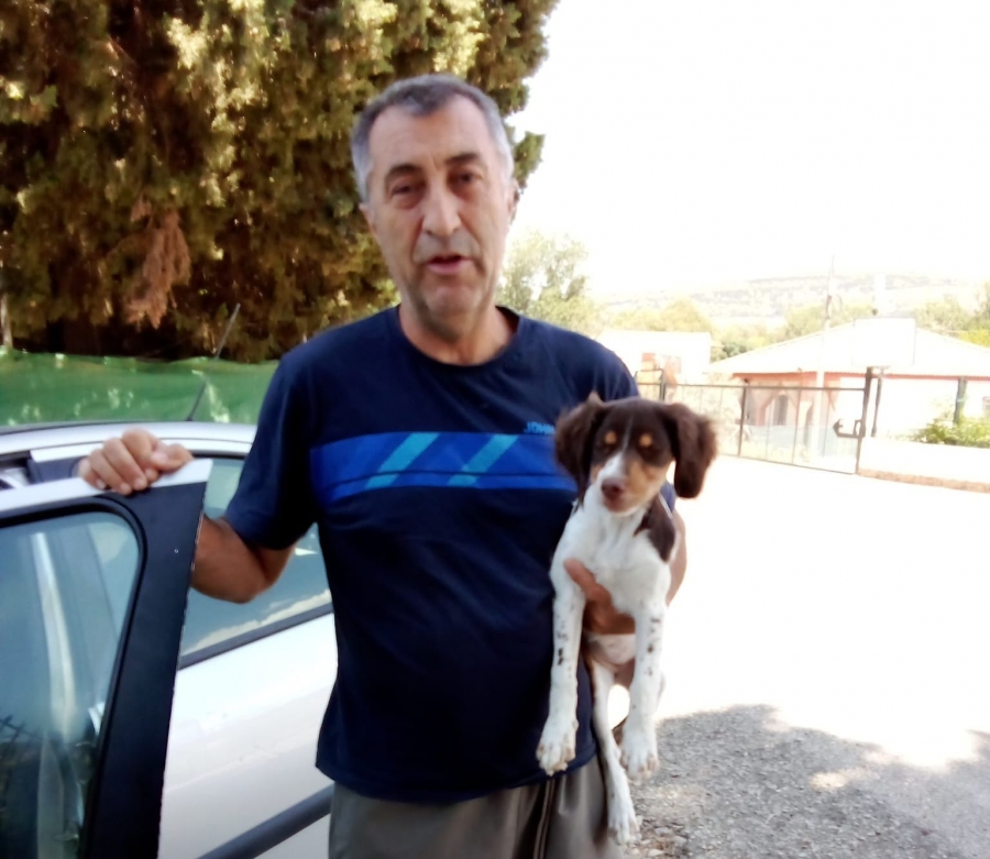Conde, con la perrita Bretona Luna, que fue encontrada en la pedanía de La Indiana