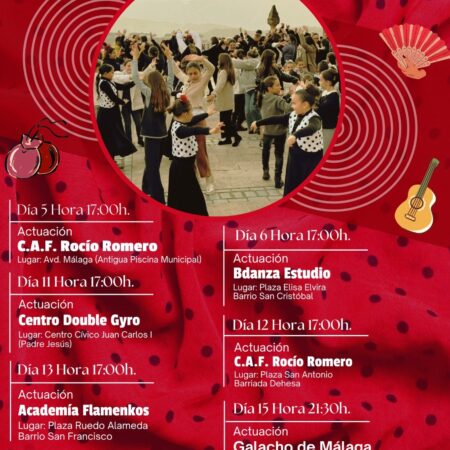 Programación de las actividades.