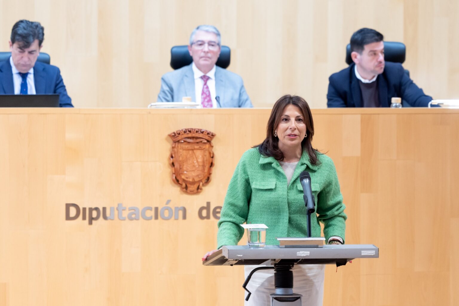 Fernández durante su intervención en el pleno de la Diputación