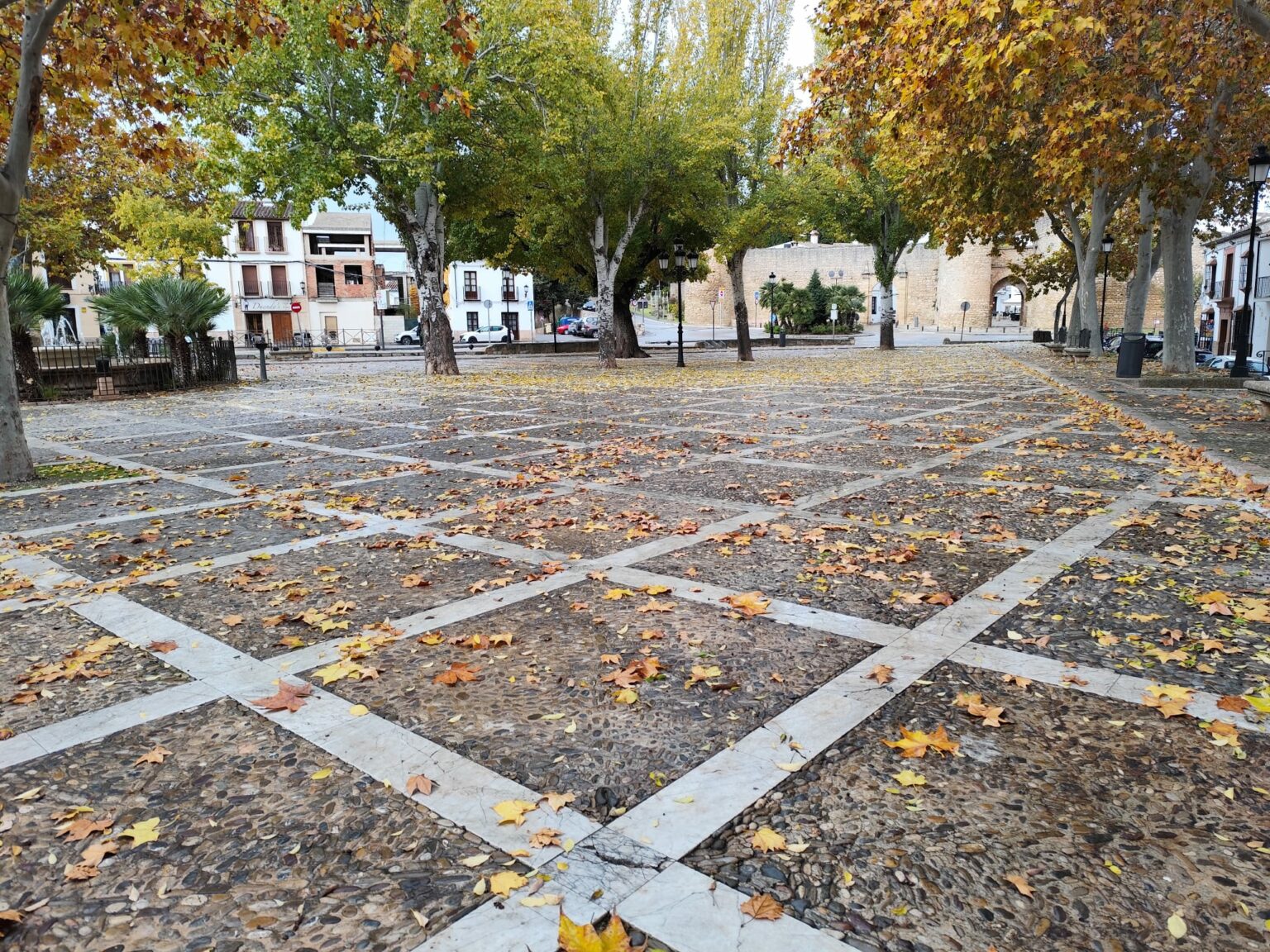 El arquitecto que ha diseñado esta actuación es el rondeño Sergio Valadez