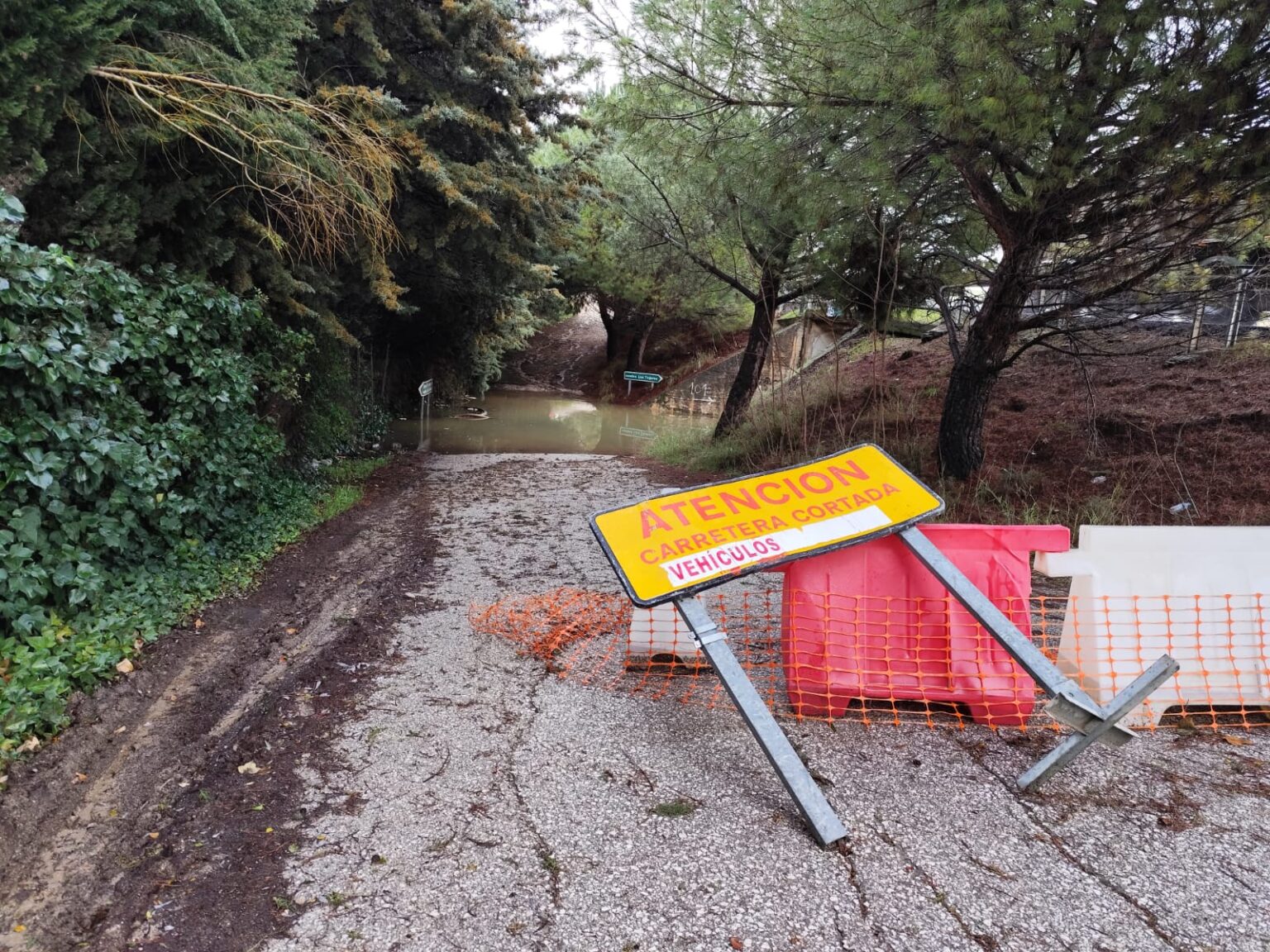 Estado actual de uno de los accesos al camino de Navares y Tejares