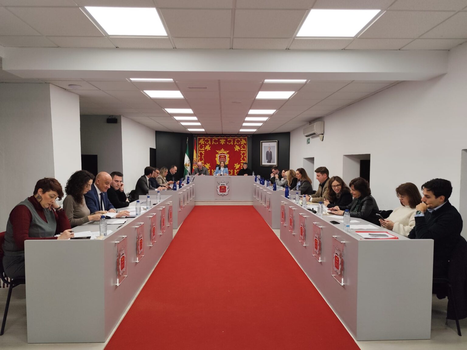 Imagen del pleno ordinario de enero