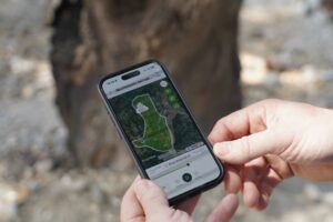 Se han colocado a las cabras unos collares GPS que envían información a tiempo real sobre su localización