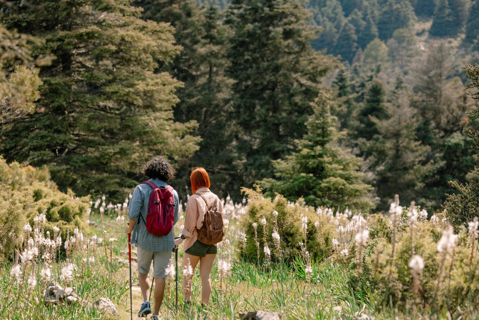 Parque Nacional Sierra de las Nieves