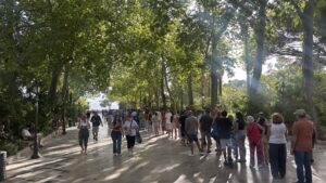 La cola que cruzaba la Alameda del Tajo para obtener las gafas homologadas 
