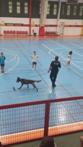 La exhibición tuvo lugar en el polideportivo El Fuerte