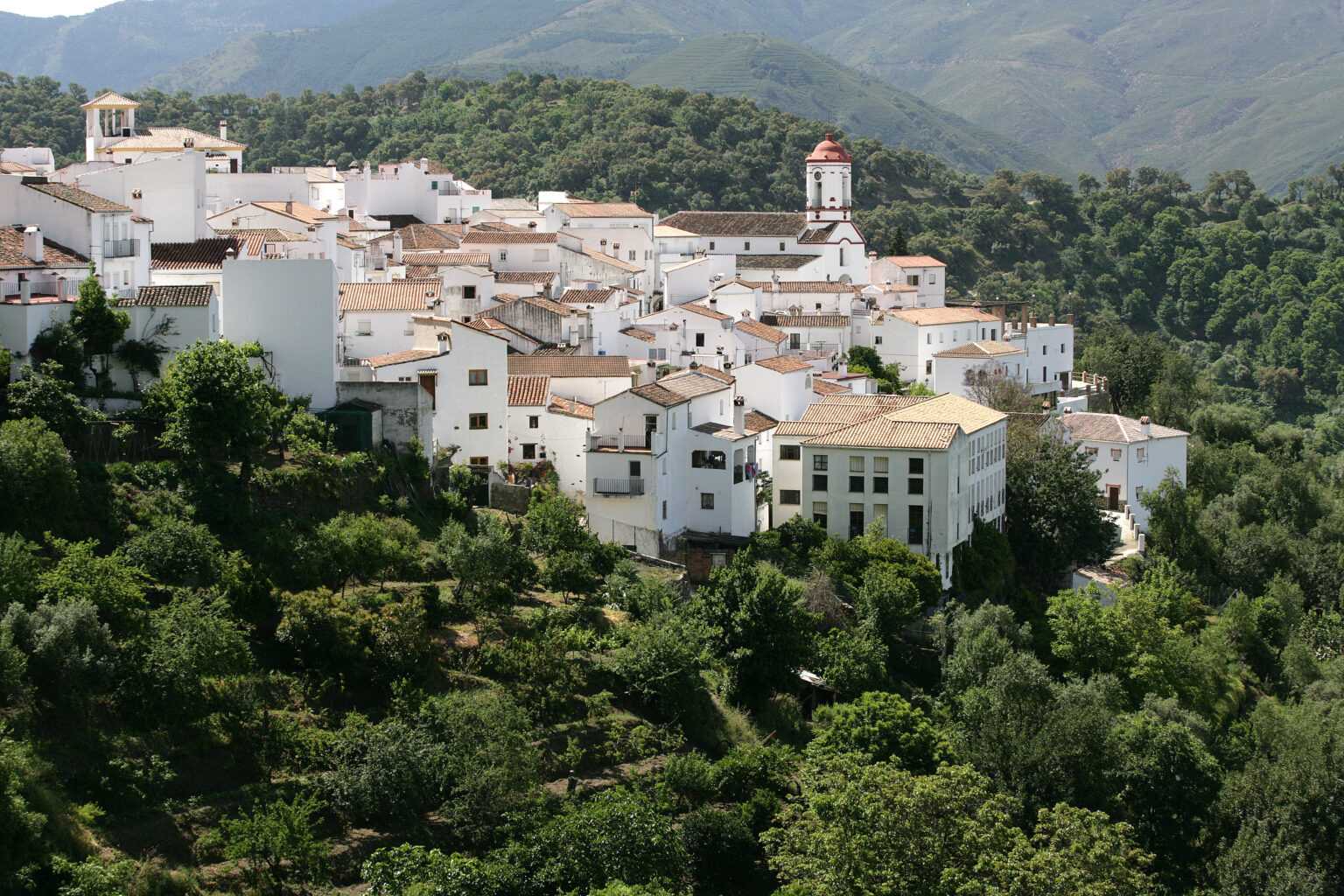 Vista de Genalguacil