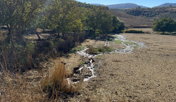 La incidencia ha estado acompañada de signos preocupantes, como aguas de aspecto grisáceo y turbio